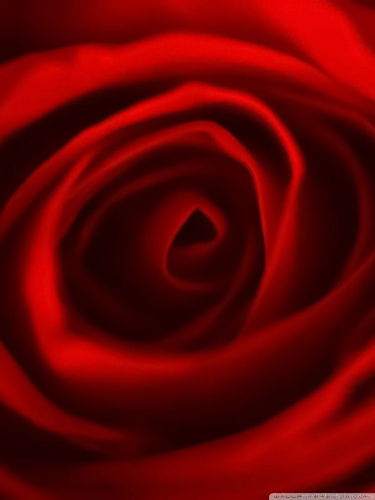 You Make Me Go Crazy HD Desktop Wallpapers : Widescreen : High ...