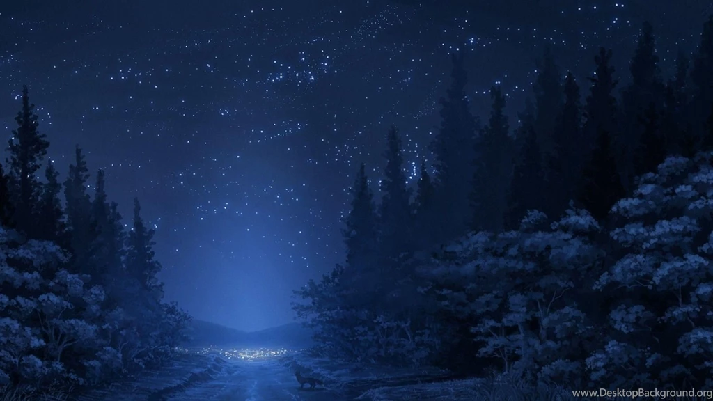 Blue Forest Night HD Desktop Wallpapers : Widescreen : High ...
