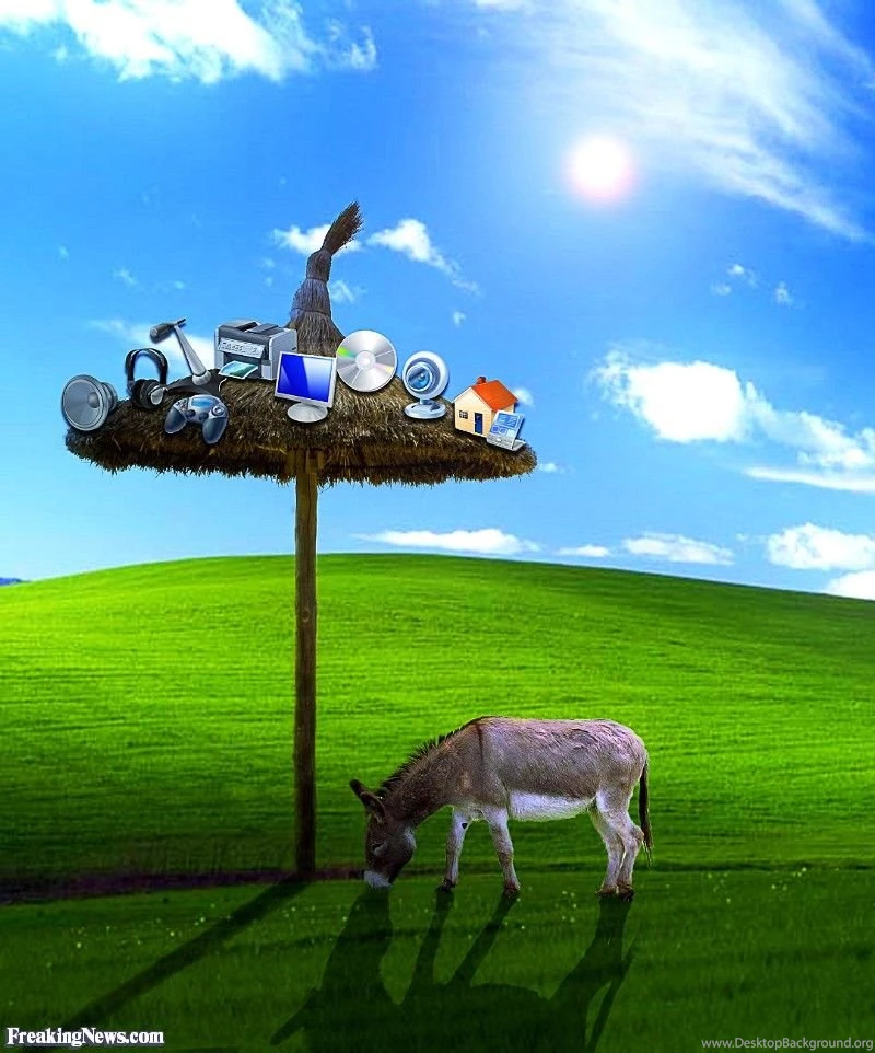 Funny Desktop Pictures   Freaking News