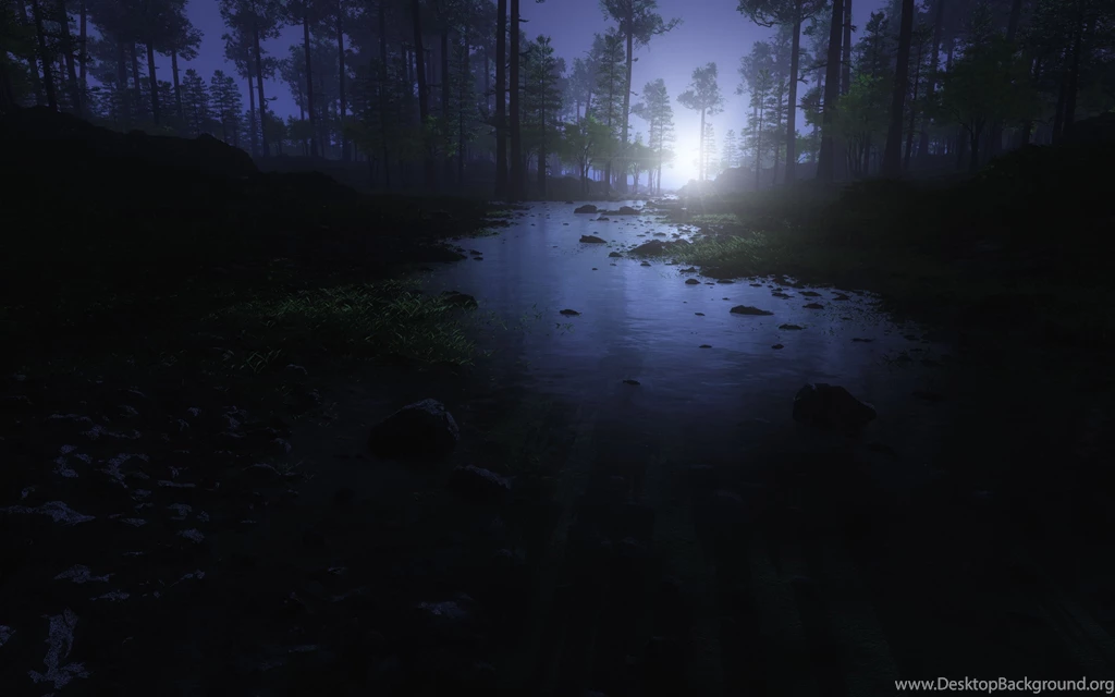 Stream In The Forest At Night Wallpapers And Images Wallpapers ...