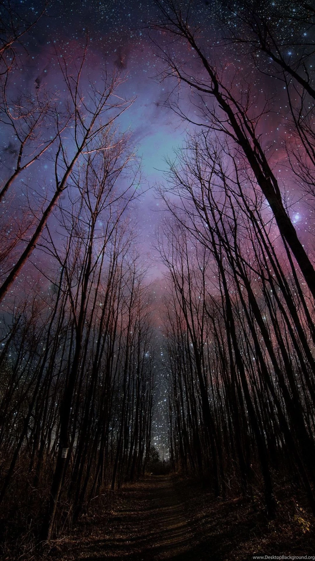 Most Popular iPhone 6 Wallpapers