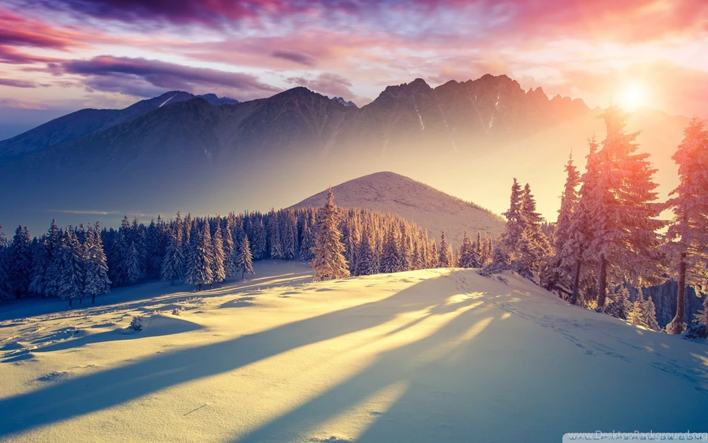 Sunset Winter Shadows   Wallpapers Mantra