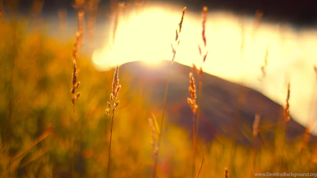 Colorful Autumn HD Wallpapers 8.jpg