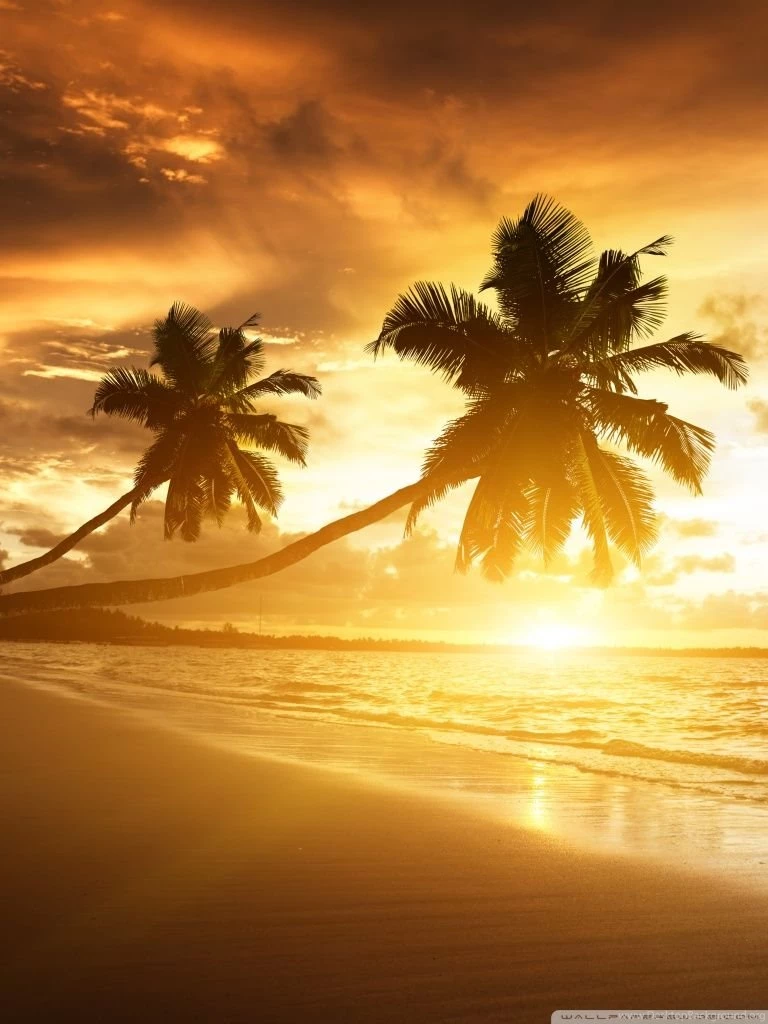 Amazing HD Desktop Wallpapers : High Definition : Fullscreen ...