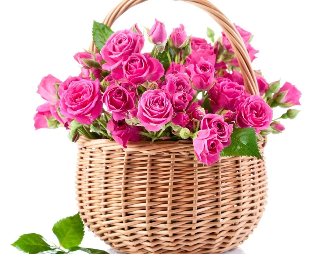 PINK ROSES WALLPAPER (