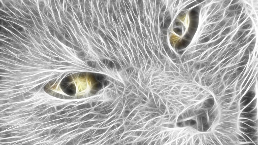 Animals Cool Wallpapers HD   CuteWallpaper.org