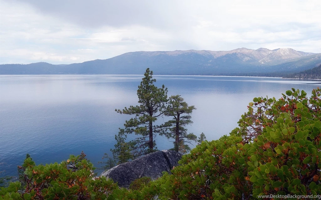 Lake Tahoe, Nevada, USA, Trees, Plants Wallpaper,Lake Wallpapers ...