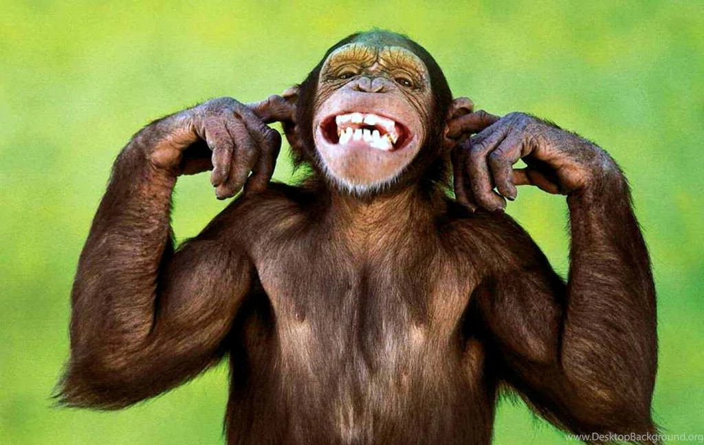 Funny Facebook Amazing Wallpapers Free Download (4) Fun Nine