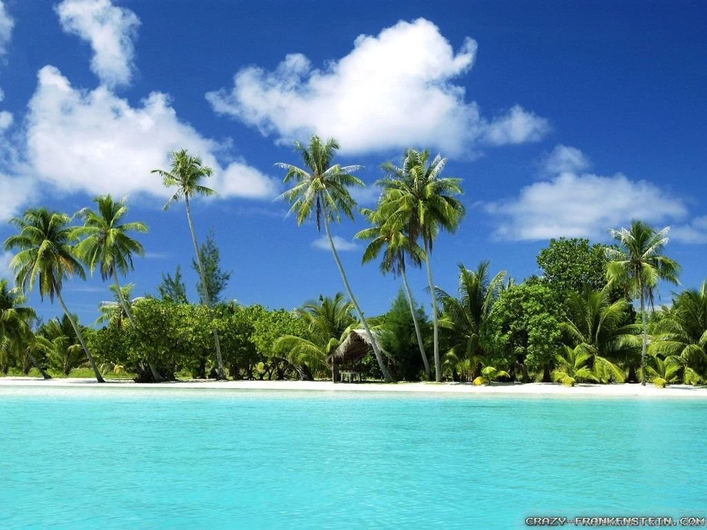 Tropical Island Wallpapers Crazy Frankenstein