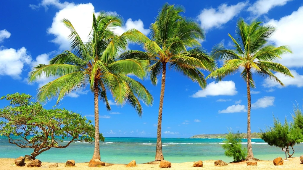 Download Tropical Beach Wallpapers Desktop