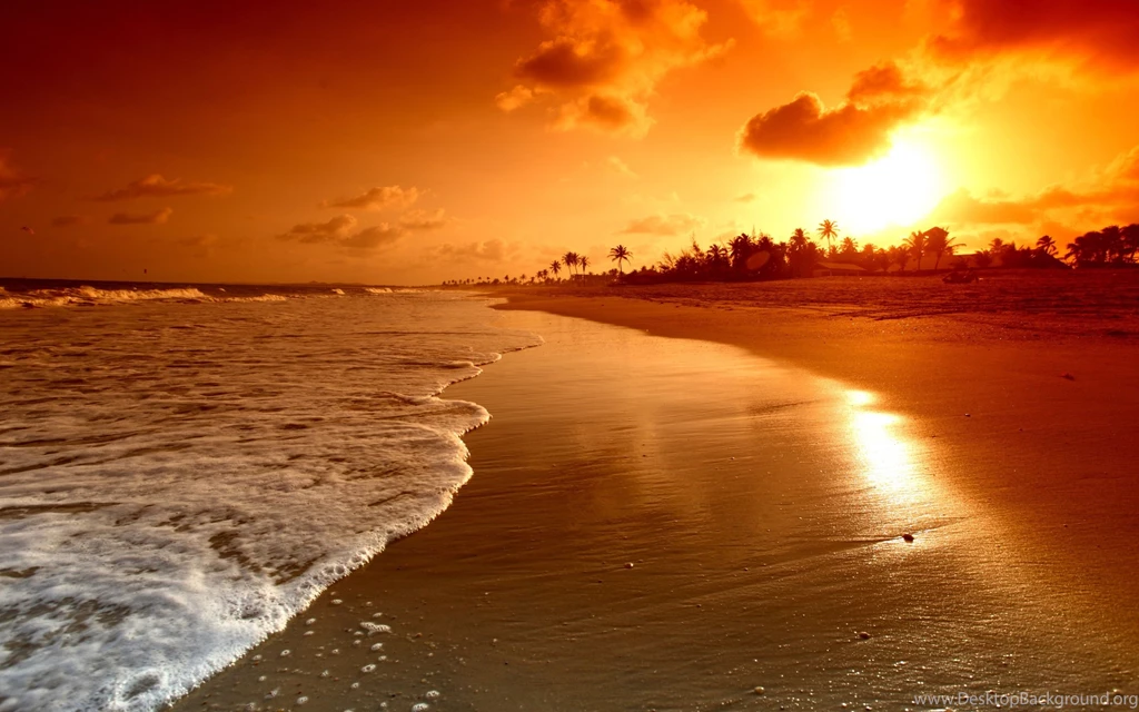 Gallery For   Tropical Beach Sunset