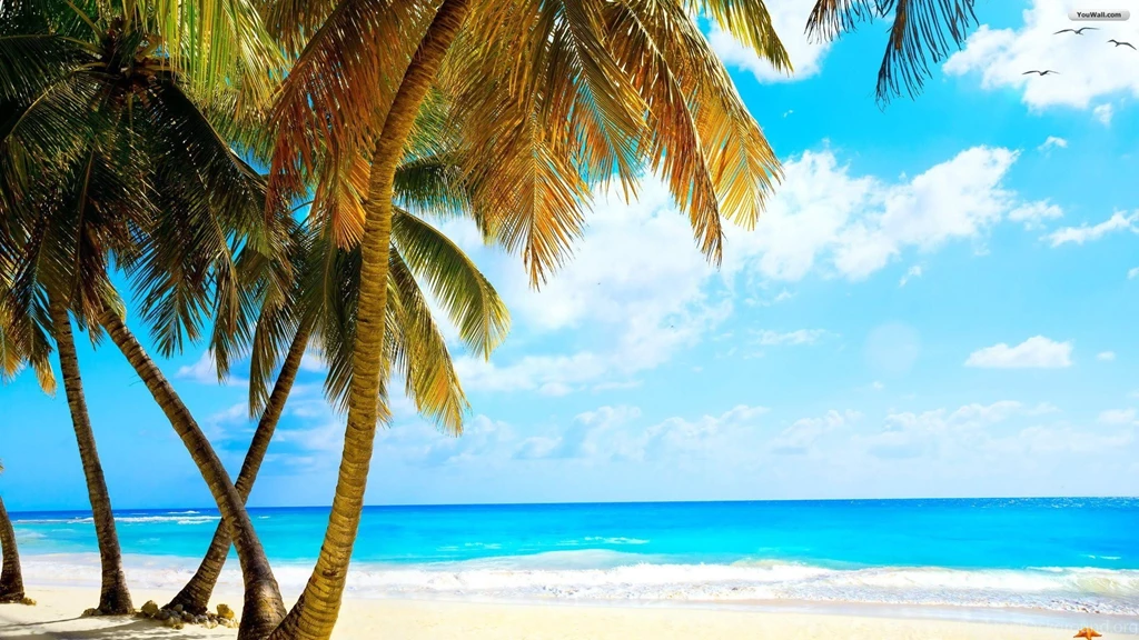 YouWall   Wonderful Tropical Beach Wallpapers   Wallpapers ...