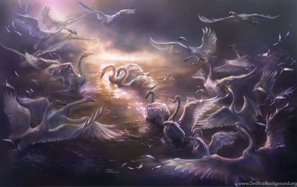 30 Bird HD Wallpapers