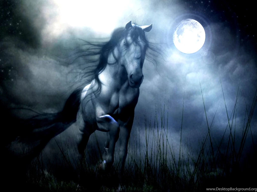 A Wild Moon Computer Wallpapers, Desktop Backgrounds