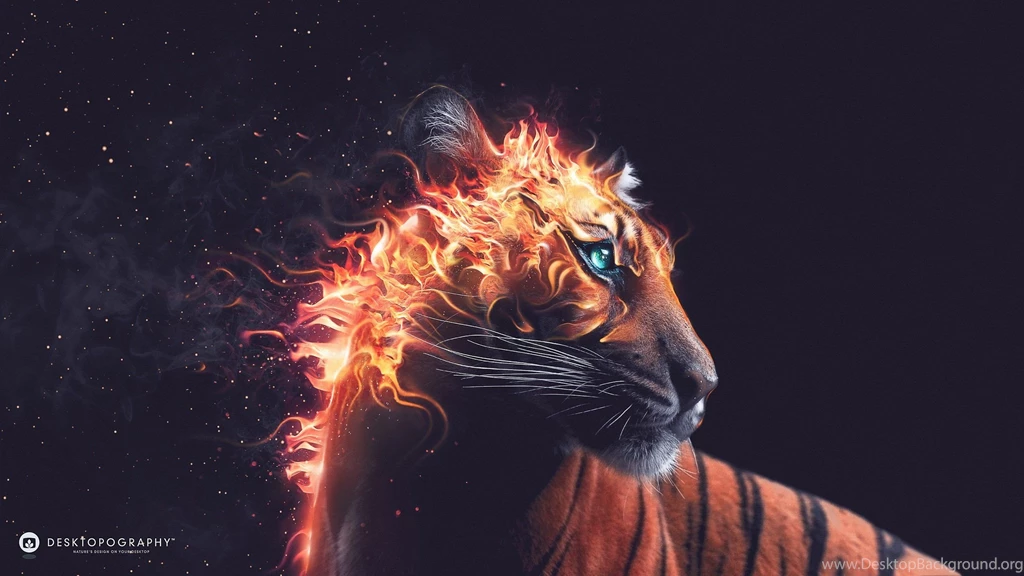 Fire Tiger Fantasy Blue Eyes Animal Wallpapers