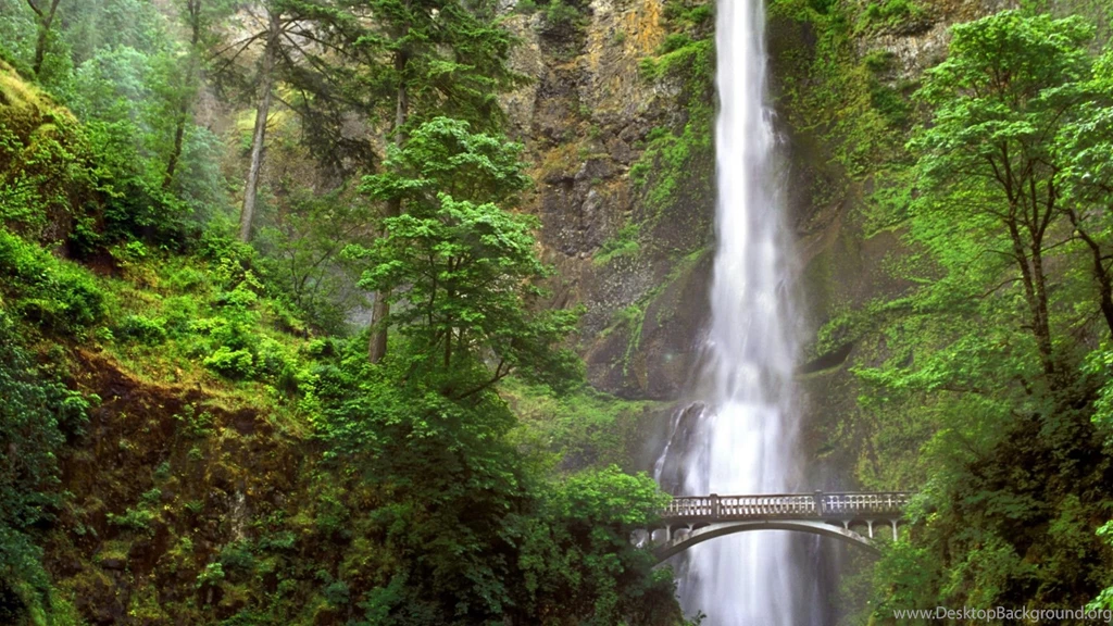 Freewallpapers — Free Full HD Wallpaper. Widescreen HQ Desktop ...