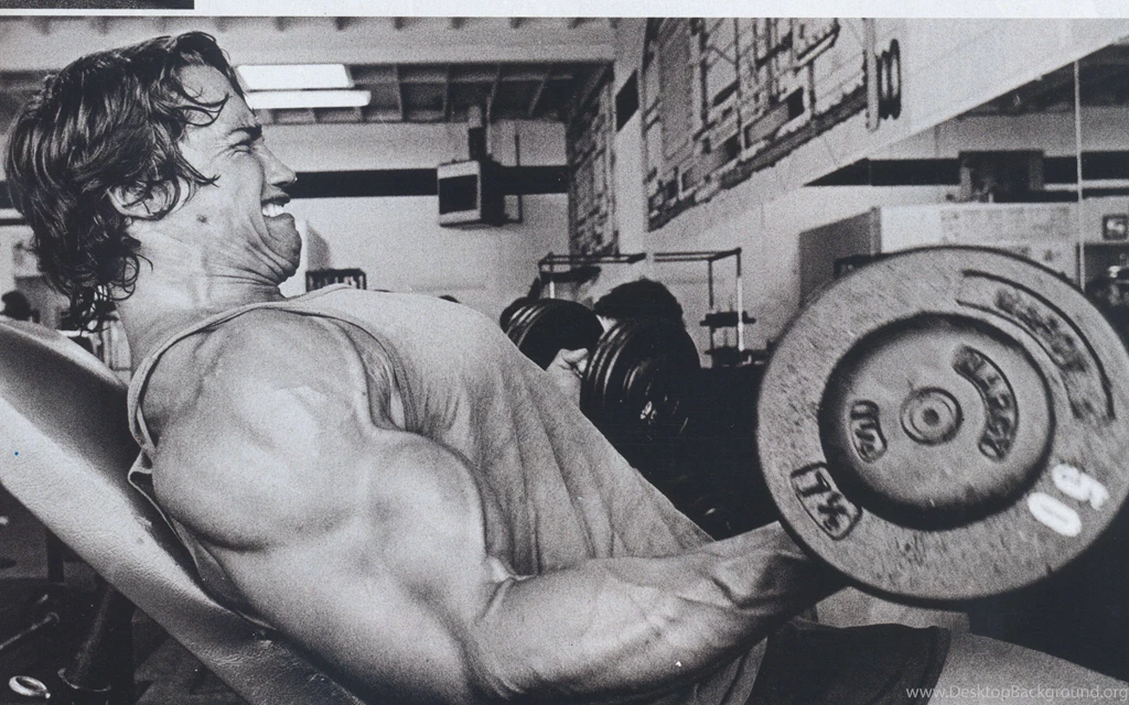 Fonds D'écran Arnold Schwarzenegger : Tous Les Wallpapers Arnold ...