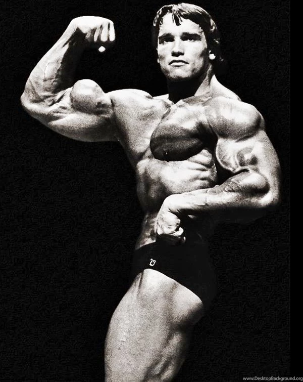 Arnold Schwarzenegger Wallpapers And Unseen Fitness ...