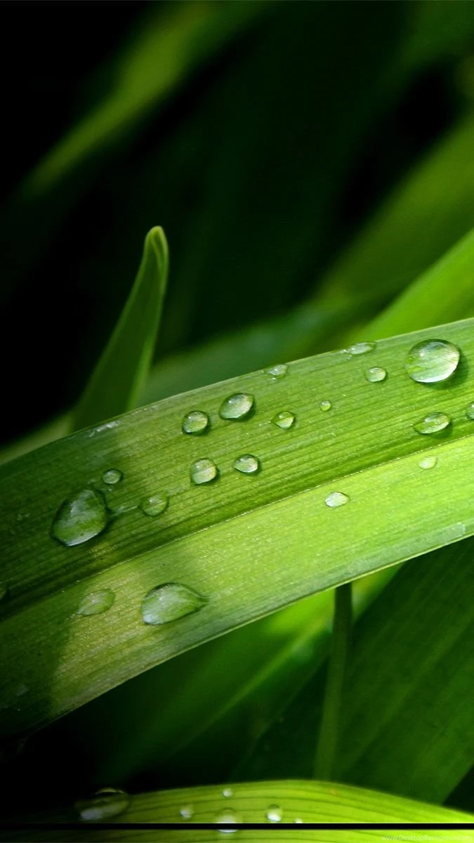 The Galaxy S III Wallpapers Blog