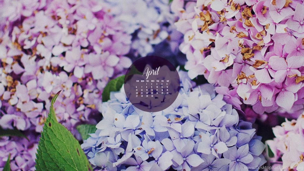 Free April 2014 Calendar Wallpapers   Blythe Ponytail Parades