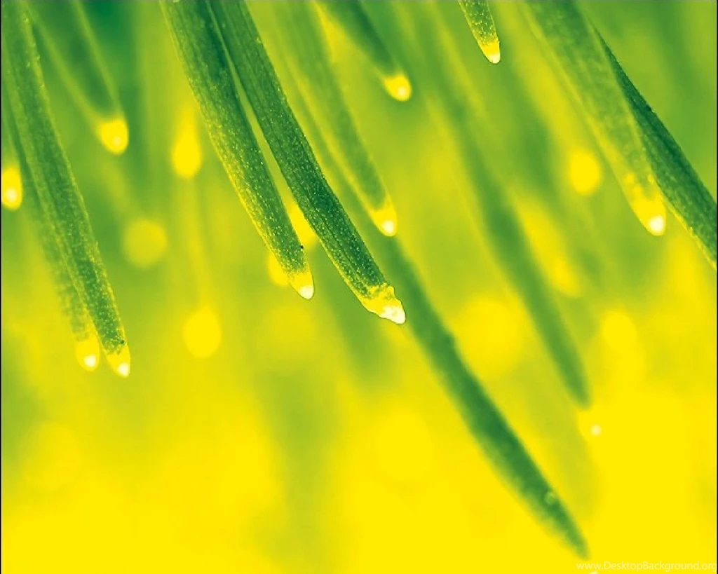 1280x1024 April Shower Desktop PC And Mac Wallpapers