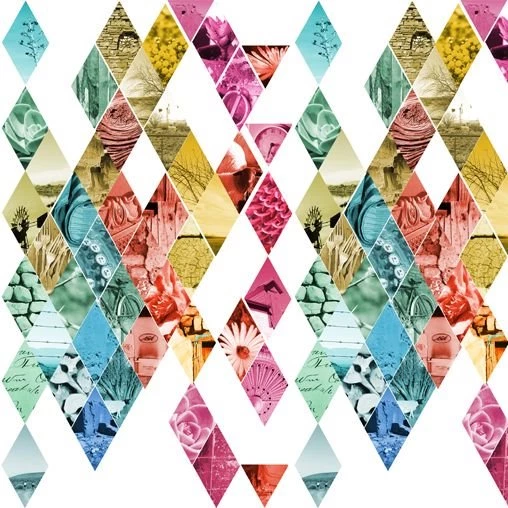 Karoo Carnival Wallpapers Homeology Shop