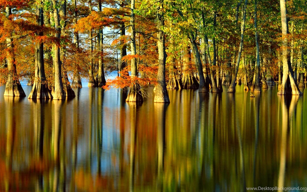 484 Scenic HD Wallpapers