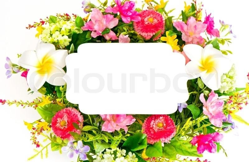 Decorative Colorful Flower Arrangement On White Backgrounds