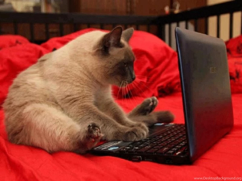 On Desktop Nexus Free Computer Wallpapers