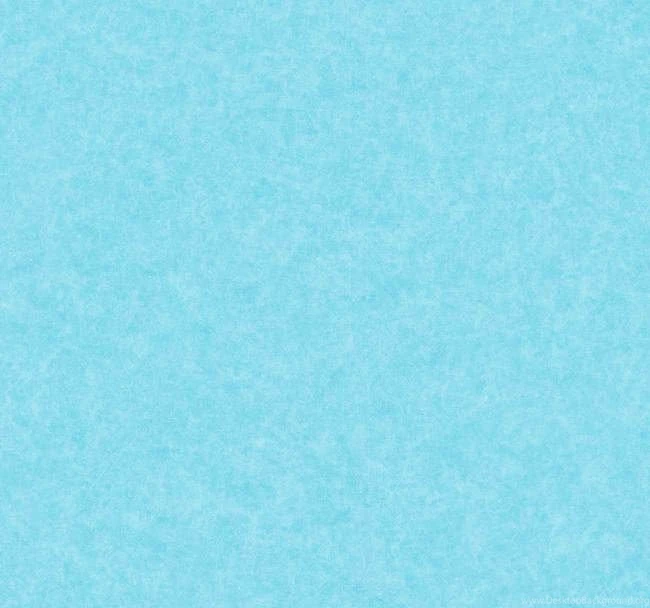5937.jpg