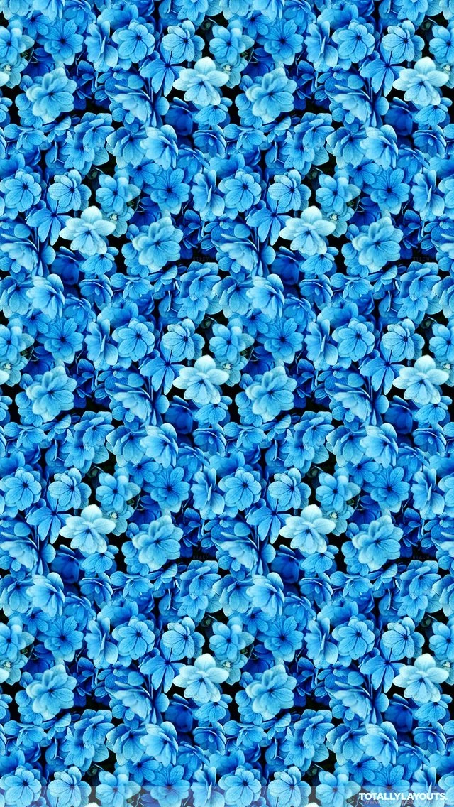 Bright Blue Flower Montage Iphone Wallpapers Floral Wallpapers Desktop Background