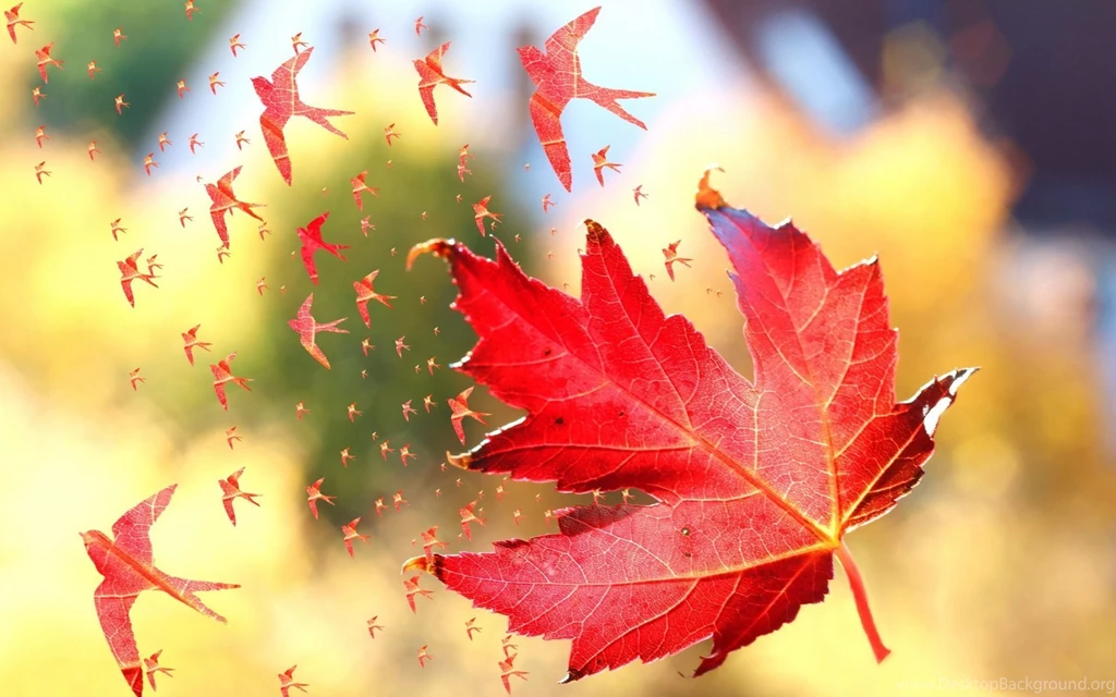 Leaf Birds Flying From The Leaf Wallpapers 28081