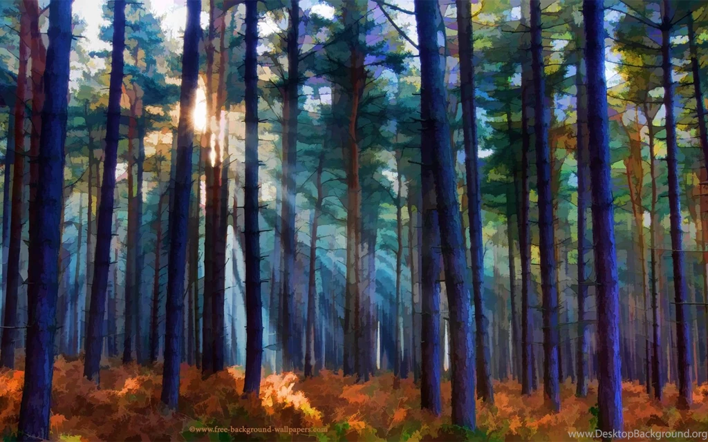 Sunbeams And Pines Artistic Desktop Wallpapers 1680x1050 Pixels