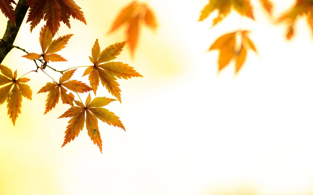 Gallery For Artsy Hipster Desktop Backgrounds