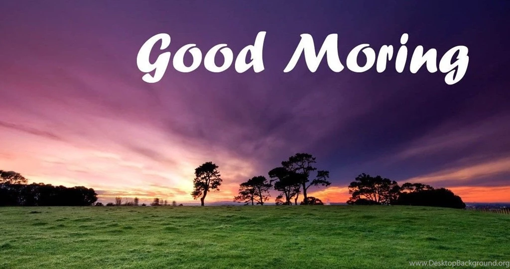 Lovable Good Mornings Wallpapers