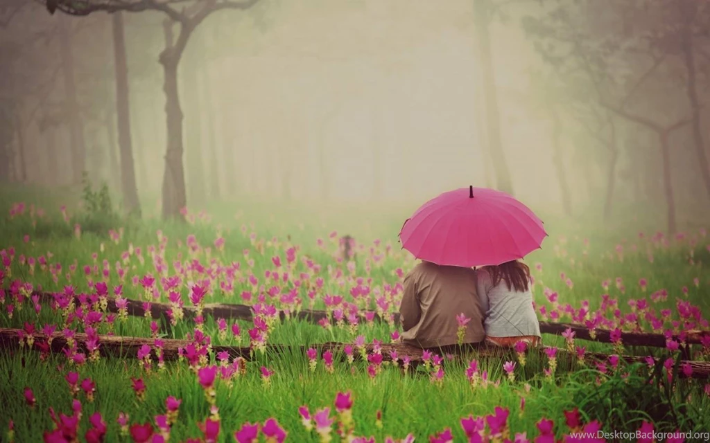 Love Wallpaper Backgrounds & Romantic Wallpapers HD To Say I Love You