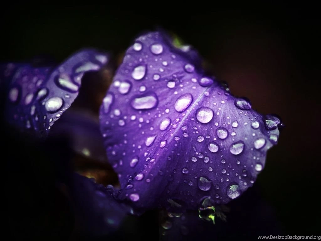 Fashion Accessory Style: Best HD Natural Wallpapers Ever High ...