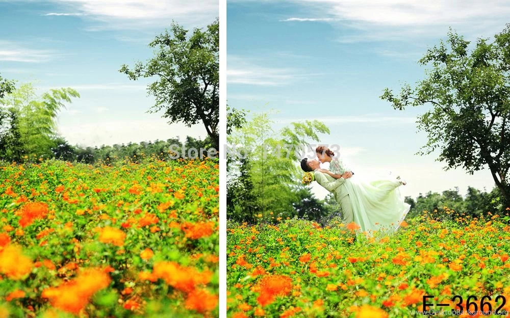 Aliexpress.com : Buy Free Digital Natural Garden Scenic Backgrounds ...