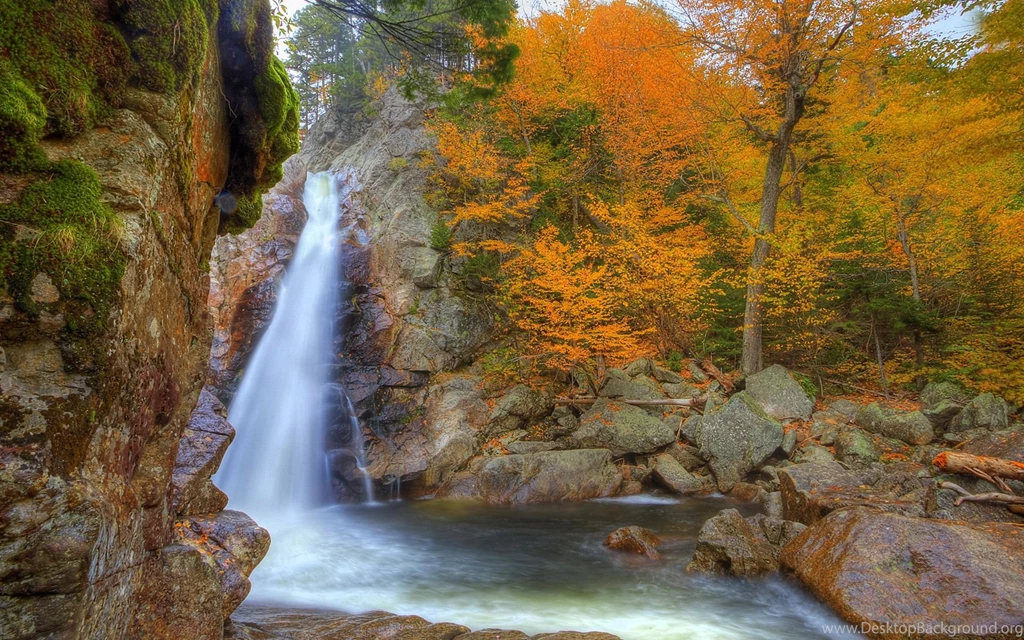Best Ever Hd Wallpapers 12072