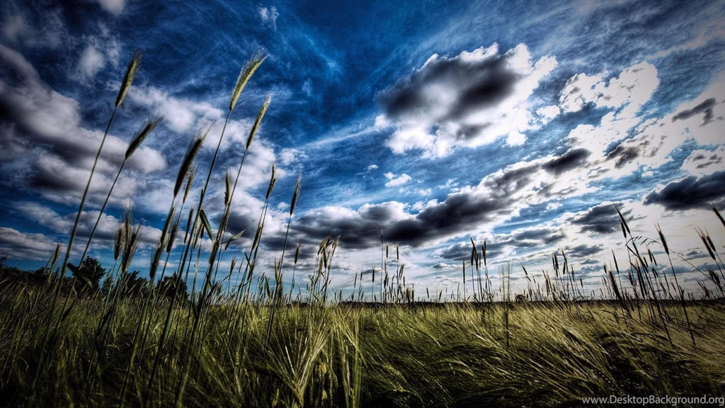 Incredible Nature, Resolution, High, Landscape, 1920x1080 HD ...
