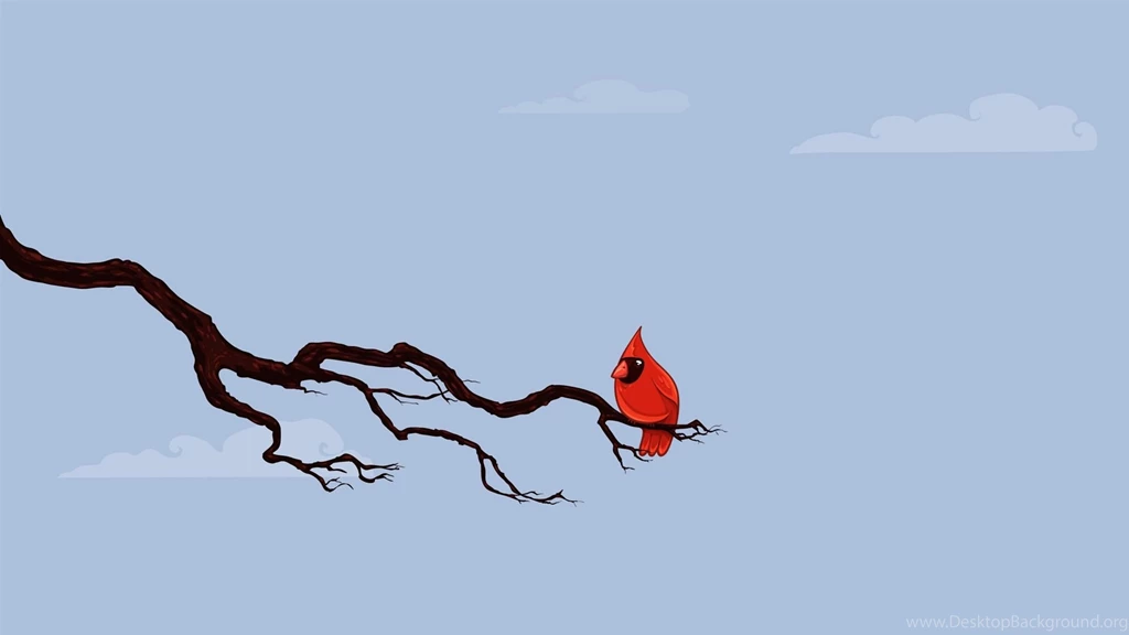 Desktop bird picture.jpg