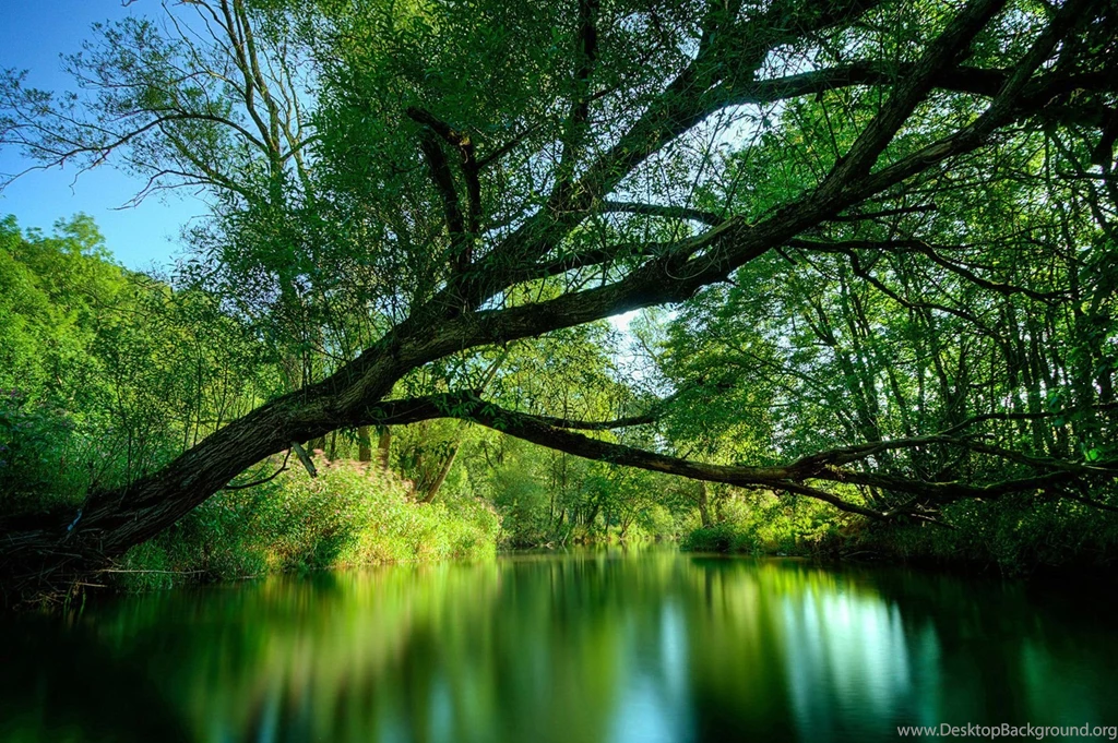 Hd Abstract Wallpaper, Desktop Artworks, Cool Images, Paints ...