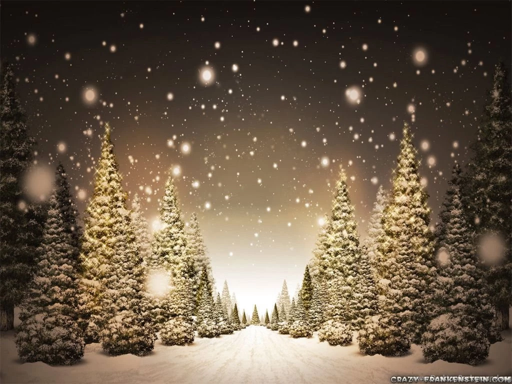 Snowy Christmas Pictures Christmas