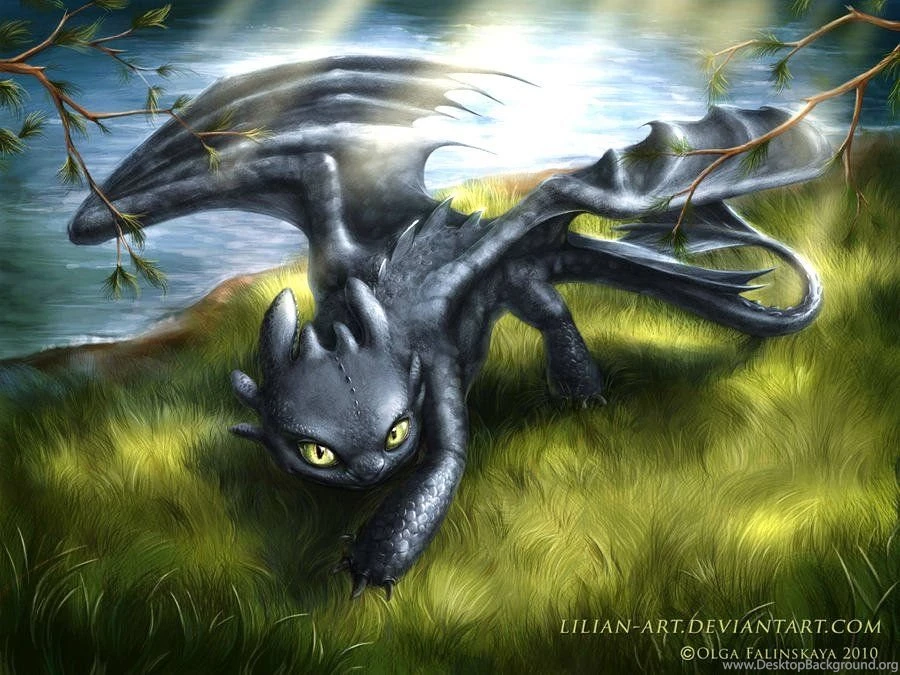 Nightfury Glade   Toothless Wallpapers (29117752)   Fanpop
