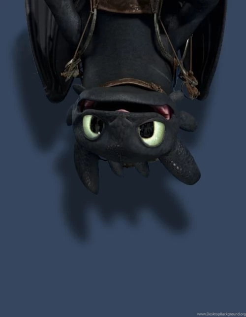 Como Treinar O Seu Dragão! O Dragão Mais Fofo Do Filme :3 ...