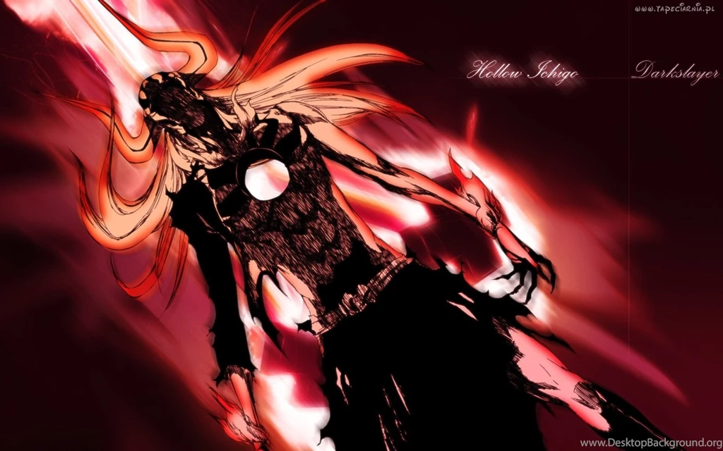 Gallery For   Bleach Full Hollow Ichigo