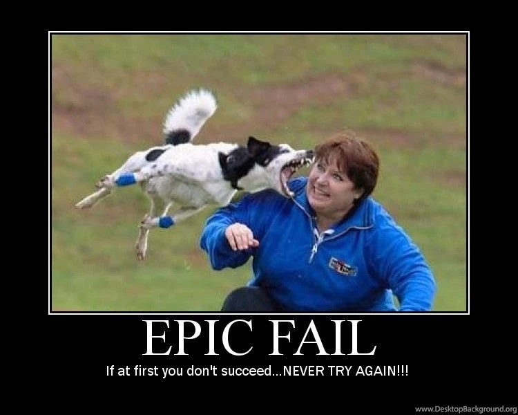 Epic Horse Fail Pictures 19 Free Wallpapers Funnypicture.org
