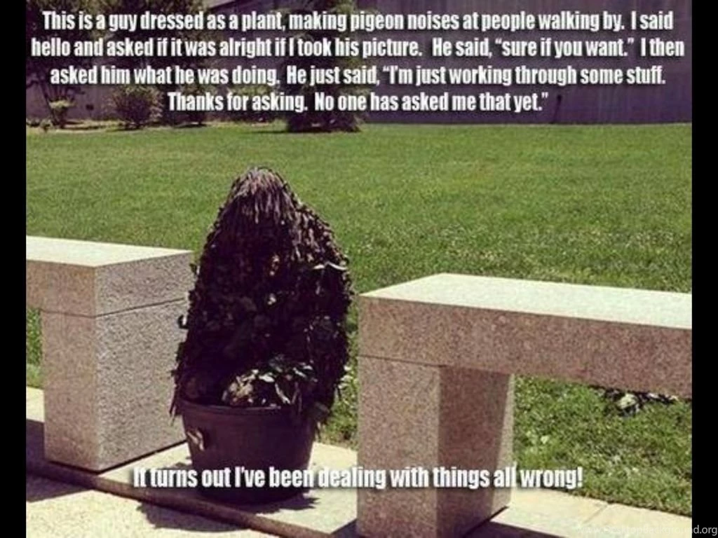 Epic Funny Cat Fails 12 Hd Wallpapers Funnypicture.org