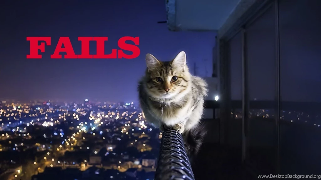 Epic Funny Cat Fails 1 Cool Wallpapers   Funnypicture.org