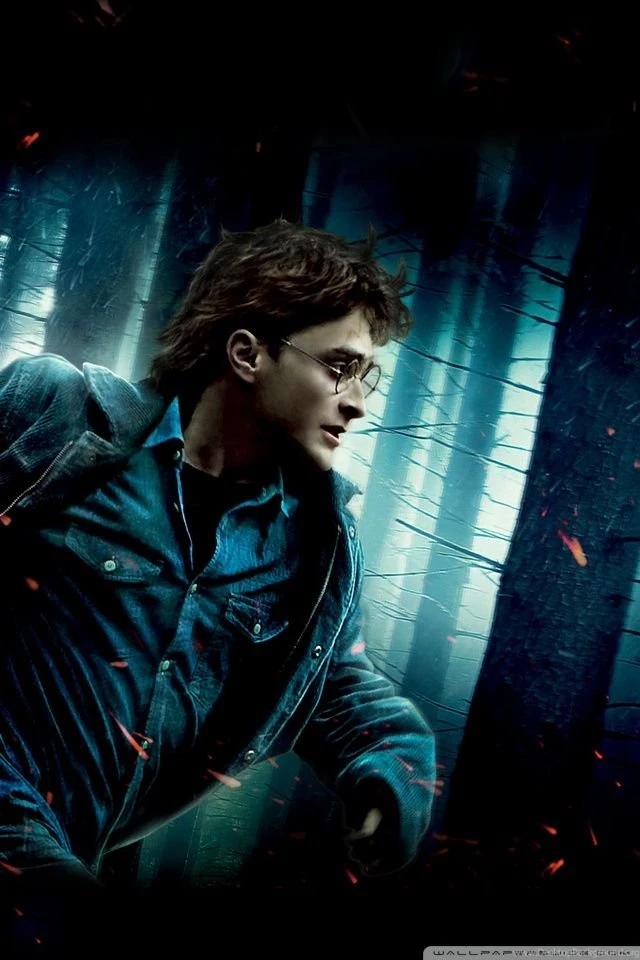 HP7 HD Desktop Wallpapers : Widescreen : High Definition ...